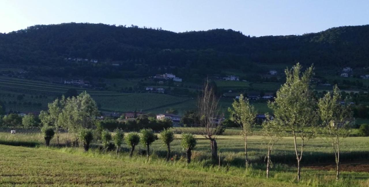 La Pergola Alloggio Brendola Ngoại thất bức ảnh